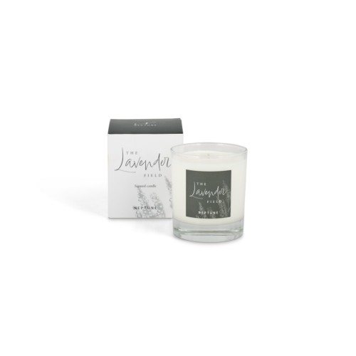 The Lavender Field Candle