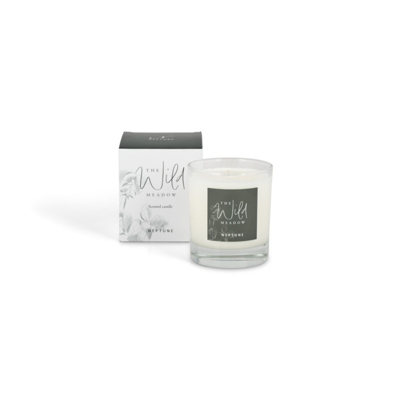 https://www.styles-interiors.ch/10195-thickbox/neptune-the-wild-meadow-candle.jpg