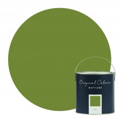 Neptune Matt Emulsion Pot 125ml - Olive