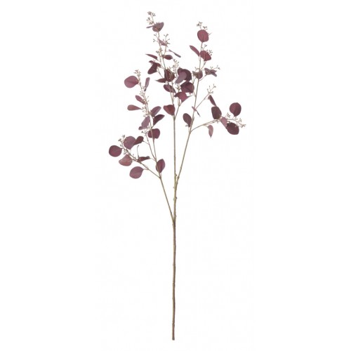 Eucalyptus Stem - Burgundy