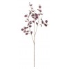 Eucalyptus Stem - Burgundy