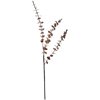 Greenspray Eucalyptus Brown