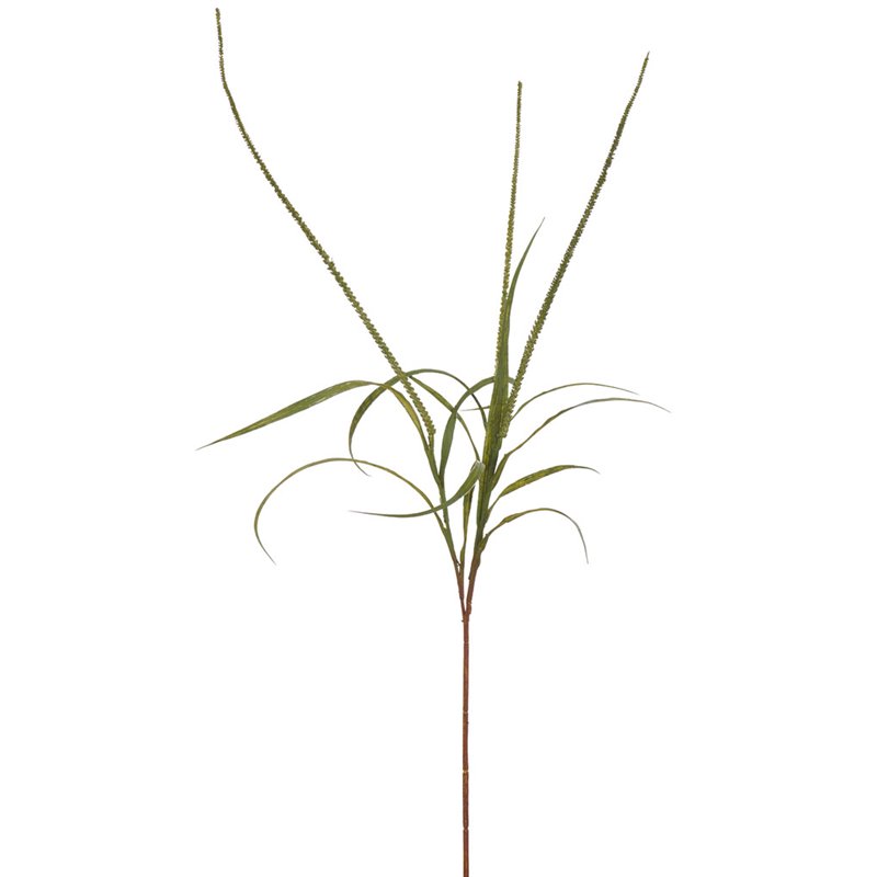 https://www.styles-interiors.ch/7111-thickbox/sea-arrowgrass-stem-green.jpg