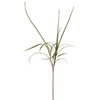 Sea Arrowgrass Stem - Green