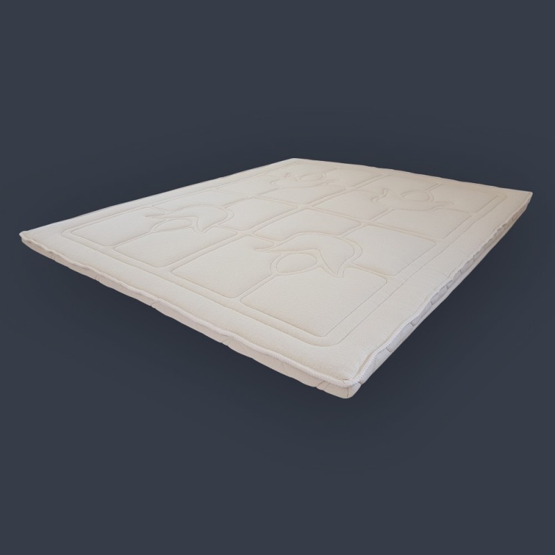 https://www.styles-interiors.ch/7682-thickbox/surmatelas-biosense-fontevraud-bio.jpg