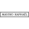 coussin MASTRO RAPHAEL - PENNYLANE 45x45 cm col 5 
