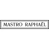 coussin MASTRO RAPHAEL - PENNYLANE 45x45 cm col 5 