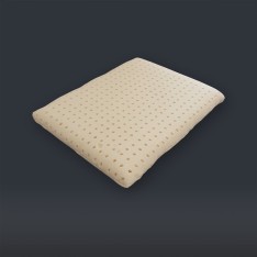 Interieur Coussin Biosense Ergonat latex 60 x 40 cm