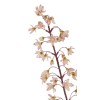 Blossom Stem - Soft Pink