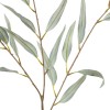 Olive Branch Green