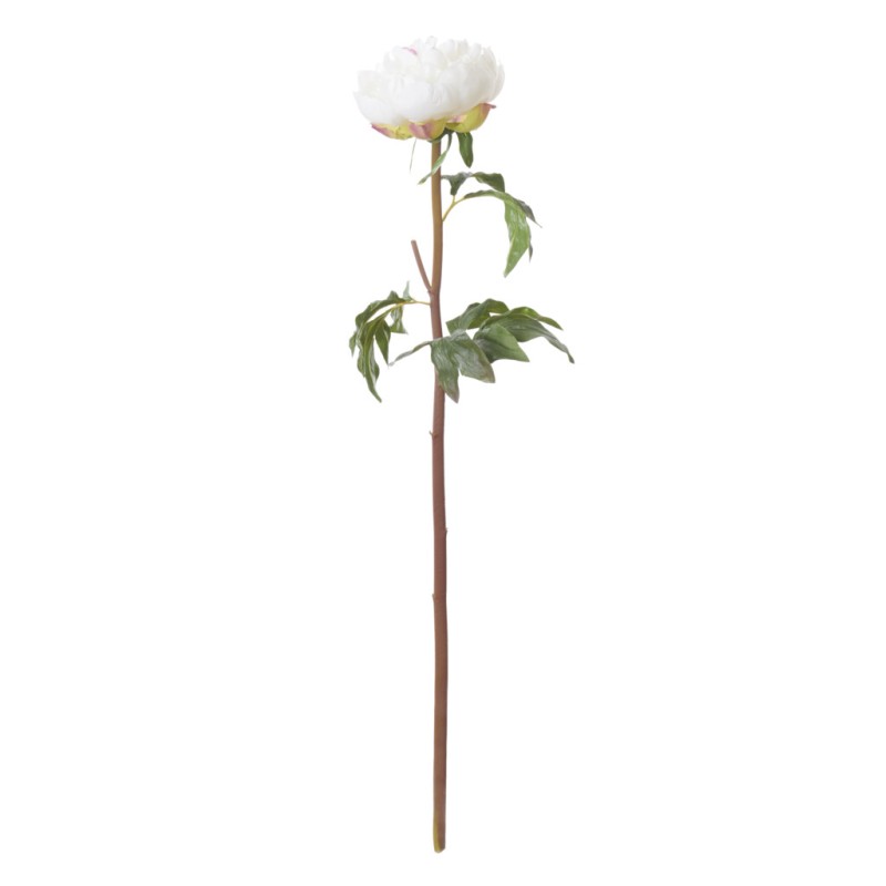 https://www.styles-interiors.ch/7831-thickbox/peony-white.jpg