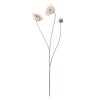 Poppy Stem Dusky Pink