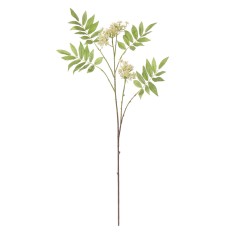 Rowan Blossom Stem - White