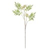Rowan Blossom Stem - White