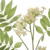 Rowan Blossom Stem - White
