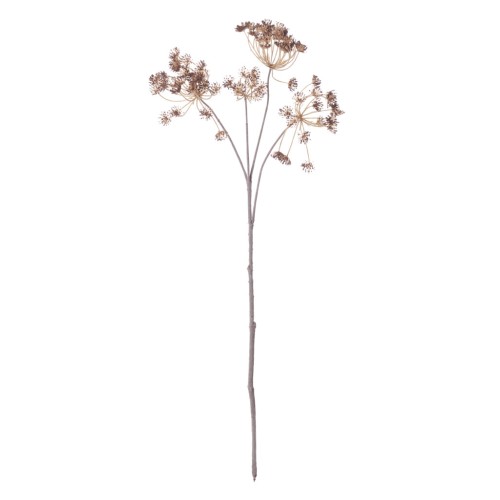 Queen Anne's Lace Stem - Russet