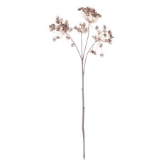 Queen Anne's Lace Stem - Russet