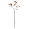 Queen Anne's Lace Stem - Russet