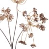 Queen Anne's Lace Stem - Russet