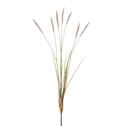 Wild Stem - Pink