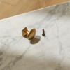 Warwick Button Knob - Flattened Brass