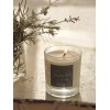 The Lavender Field Candle