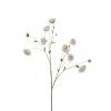 Peony Spray - Pink