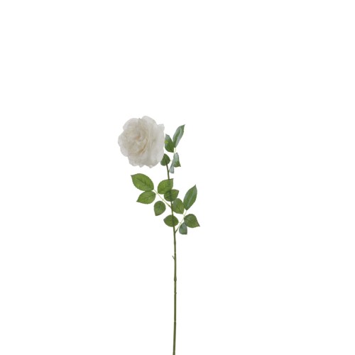 Rose Stem - White