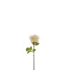 Rose Stem - Yellow