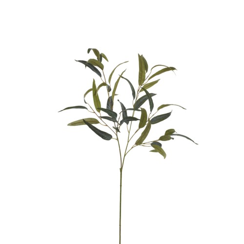 Olive Spray - Green