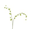 Physalis Spray - Green