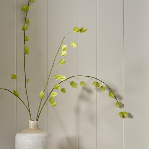 Physalis Spray - Green
