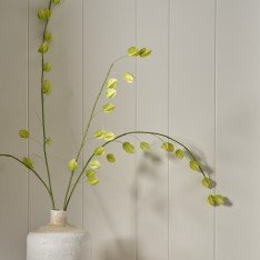 Physalis Spray - Green