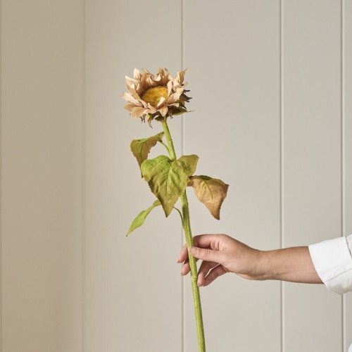 Sunflower Stem - Light Brown