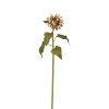 Sunflower Stem - Light Brown