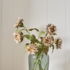 Sunflower Stem - Light Brown