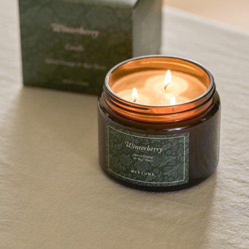 Winterberry 3 wick candle- Spiced Orange & Red Berry