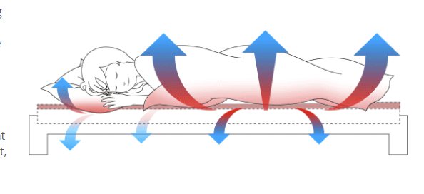 Sleepline effect